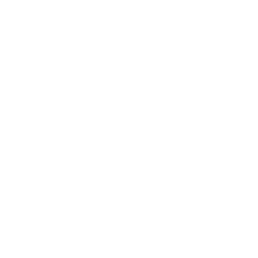 Rumi Icon